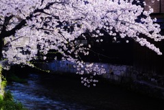 京都