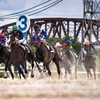 笠松競馬場 最終コーナー