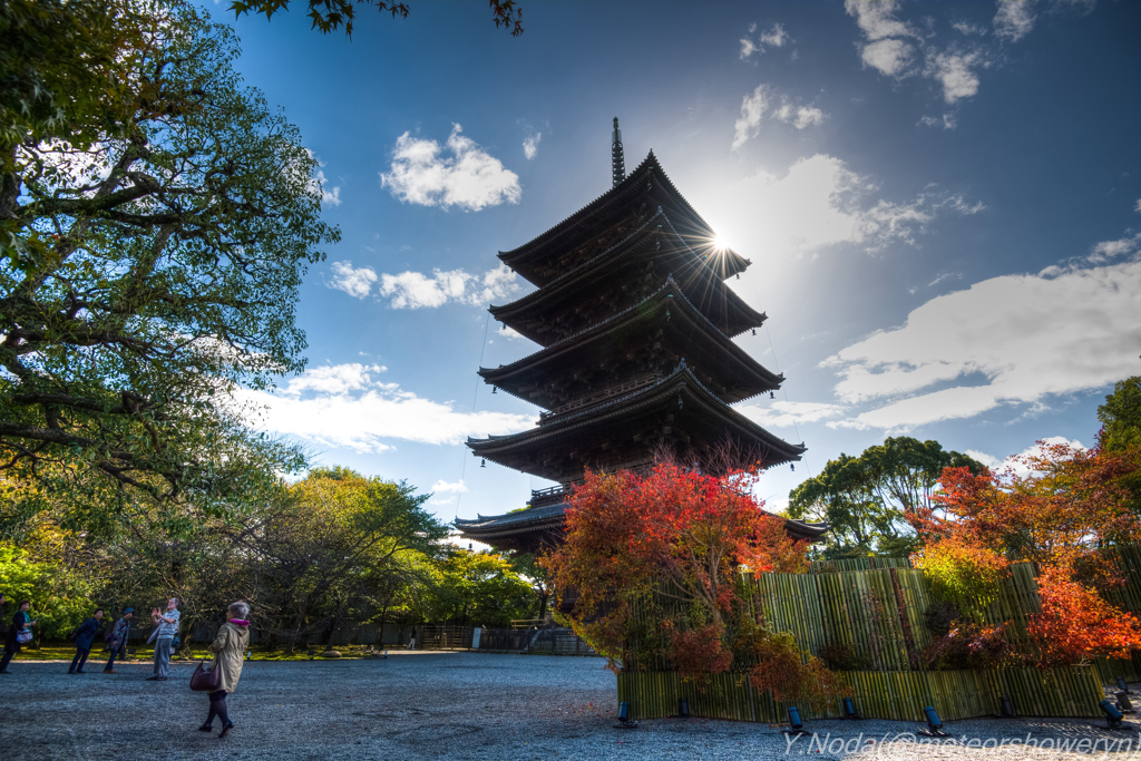 東寺