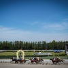 競馬日和 金沢競馬場 