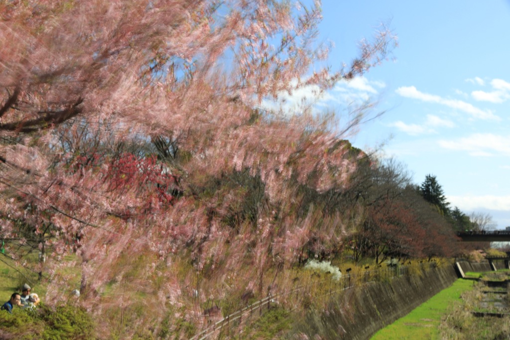 吹き抜ける風