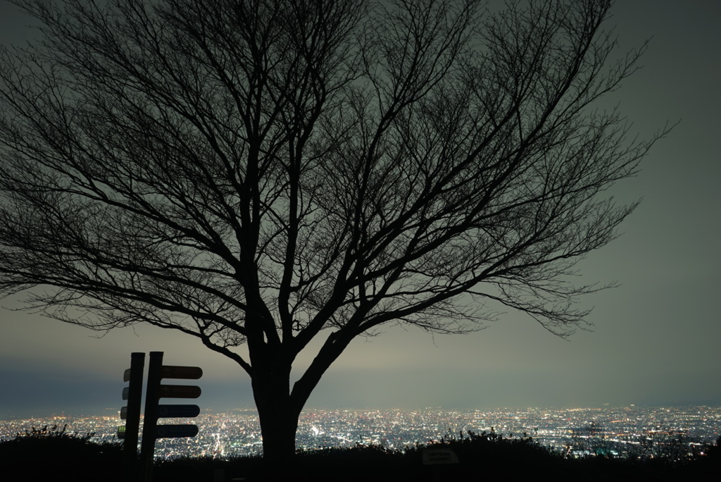 夜の景色