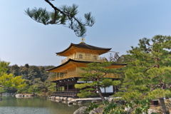 金閣寺