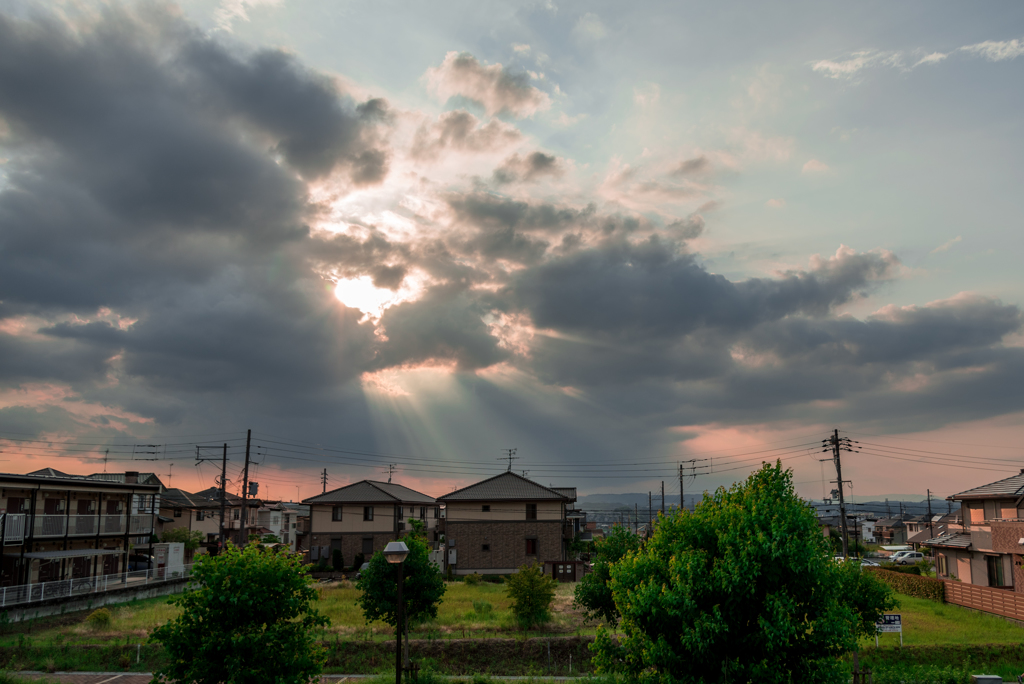 雨上がり