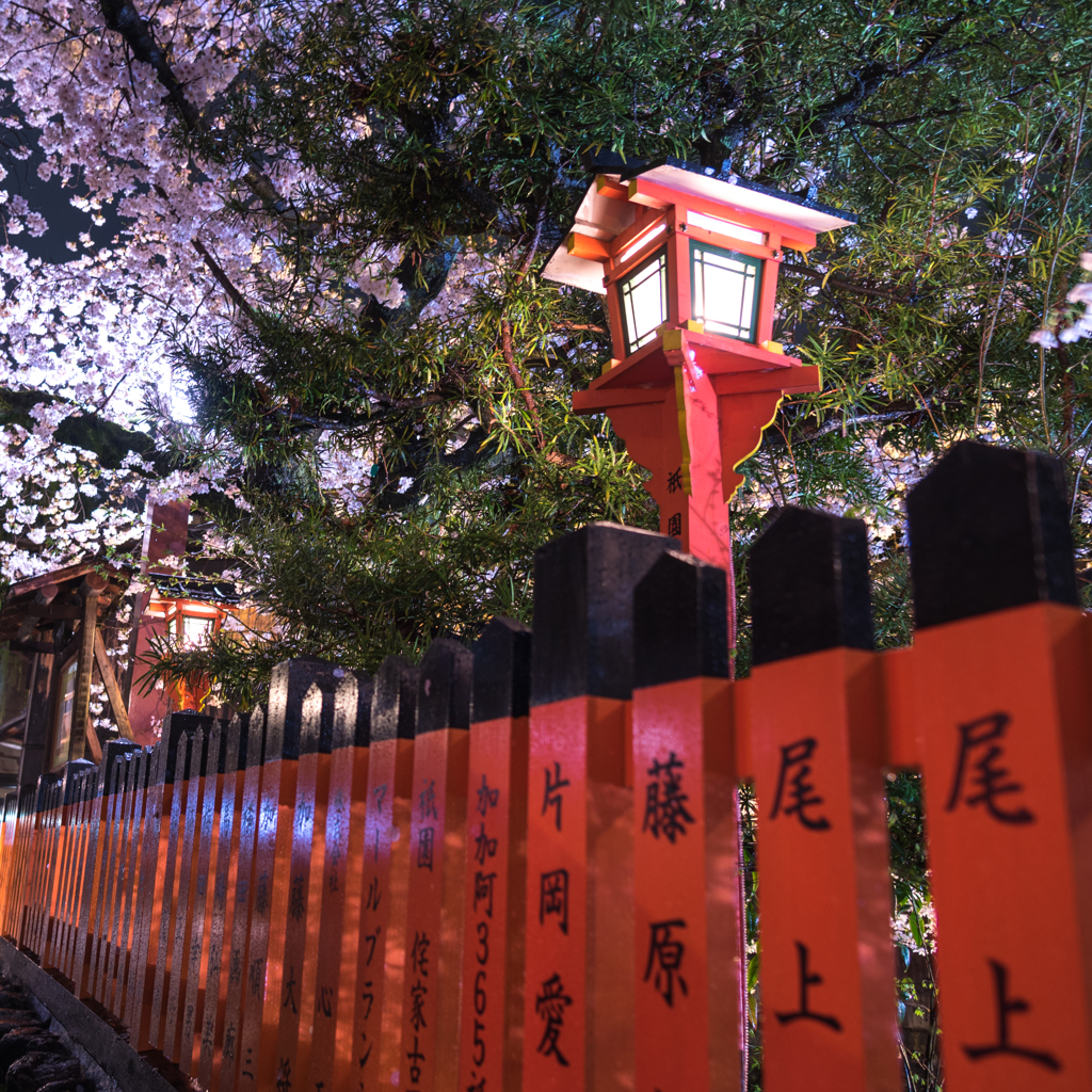 高瀬川沿い②
