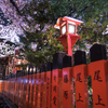 高瀬川沿い②