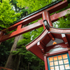 貴船神社　新緑の鳥居