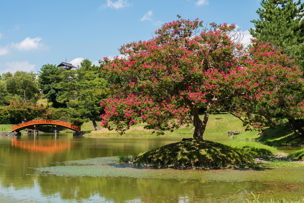 名勝旧大乗院庭園