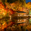 東山植物園　ライトアップ