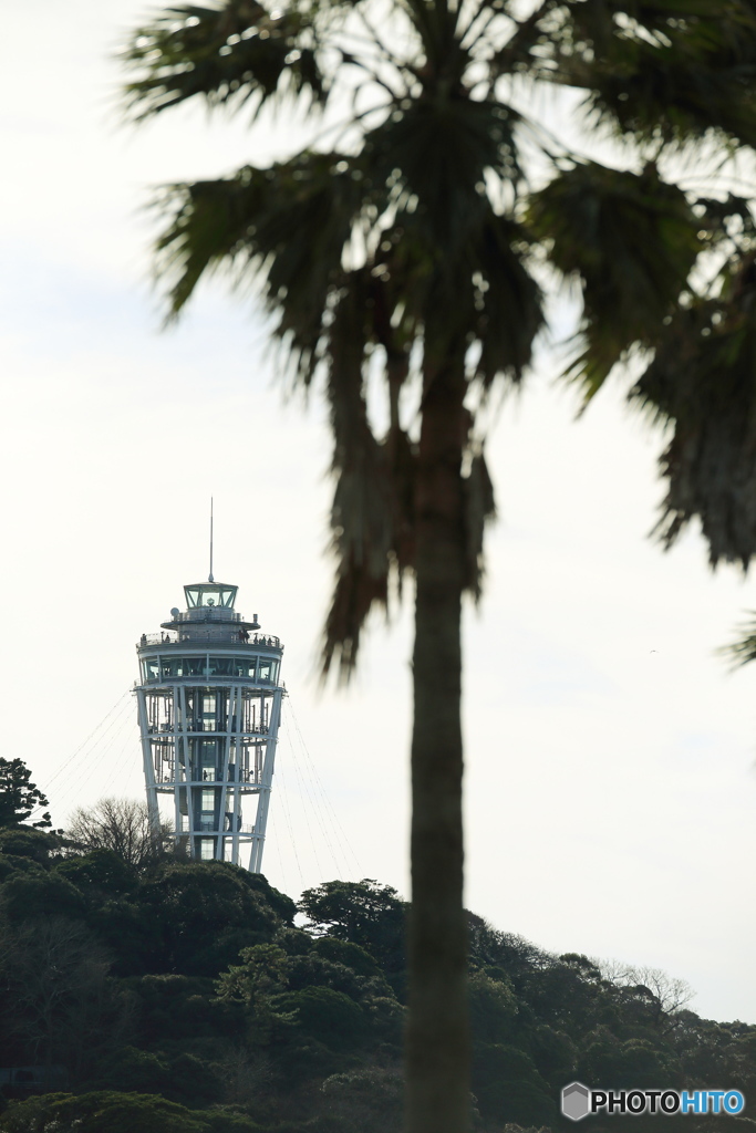 片瀬海岸からの江の島シーキャンドル