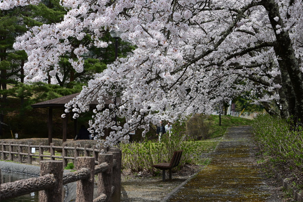 4月最後の忘れ物