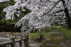4月最後の忘れ物