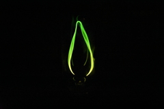 バイブラランプその1