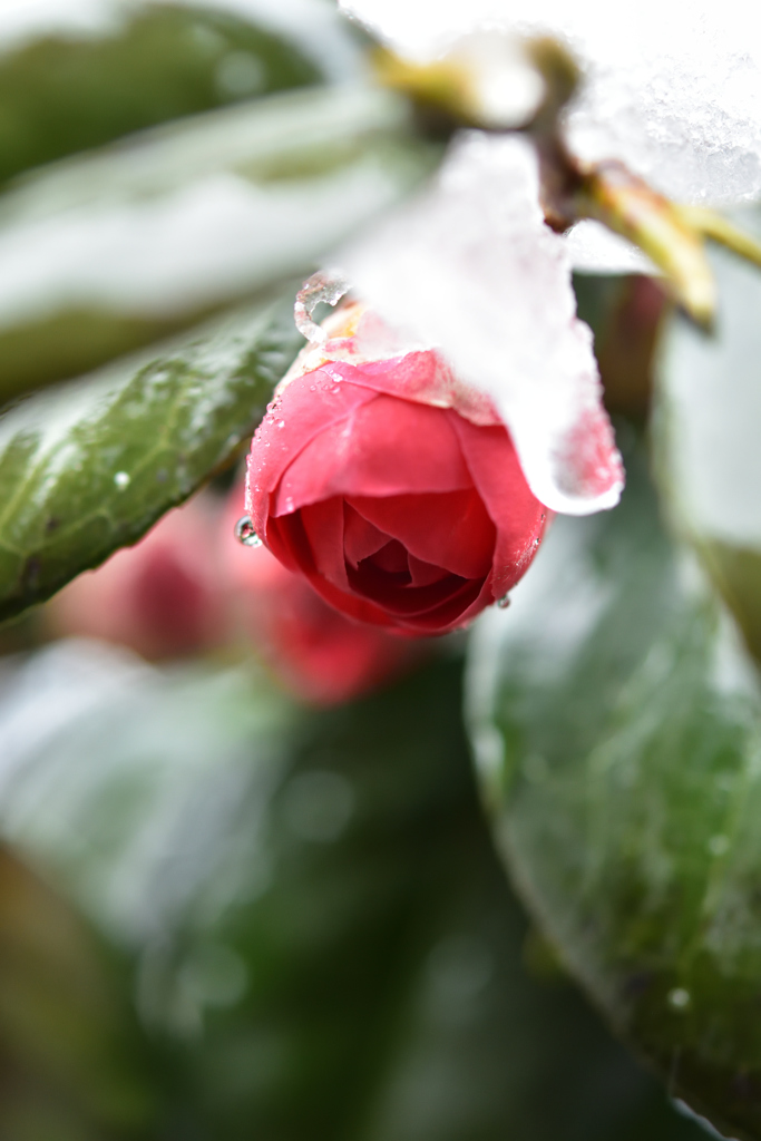XFF_0200_000012019