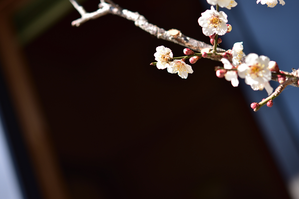 XFF_9938_000012019