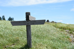 何処へ向かうのだろう？