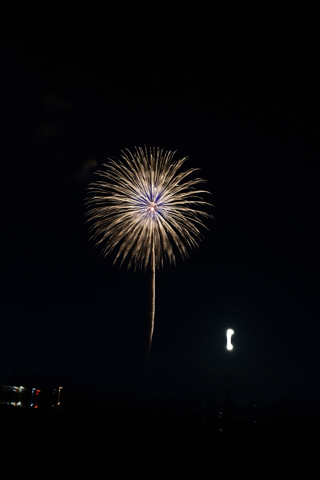 XFF_7389