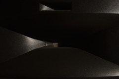 2020我が家にて４