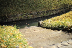 下り道