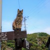 どちらに行きますか？