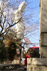 ひと休み