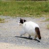 あそぼっ！
