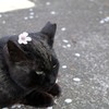 オシャレ♪