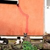 それぞれの時間