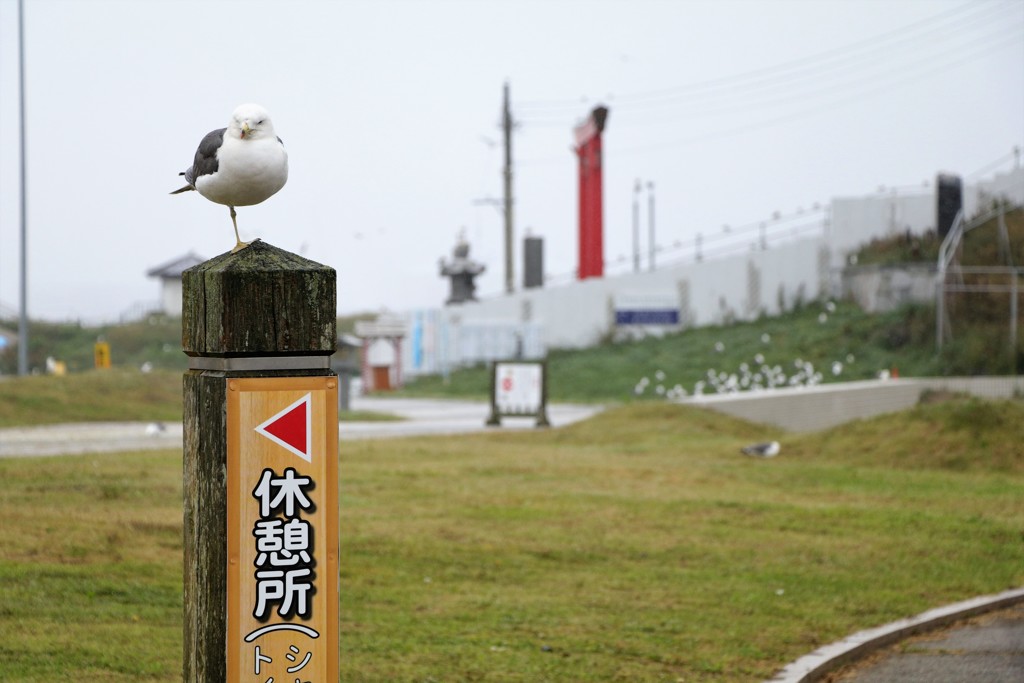 休憩中