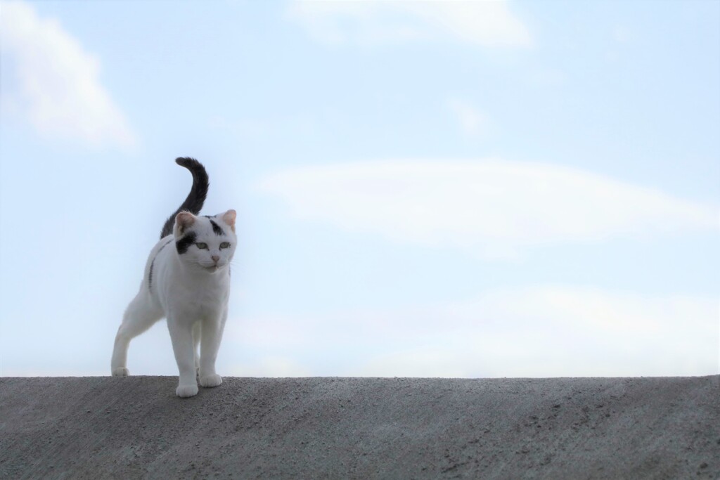 はじめまして♪