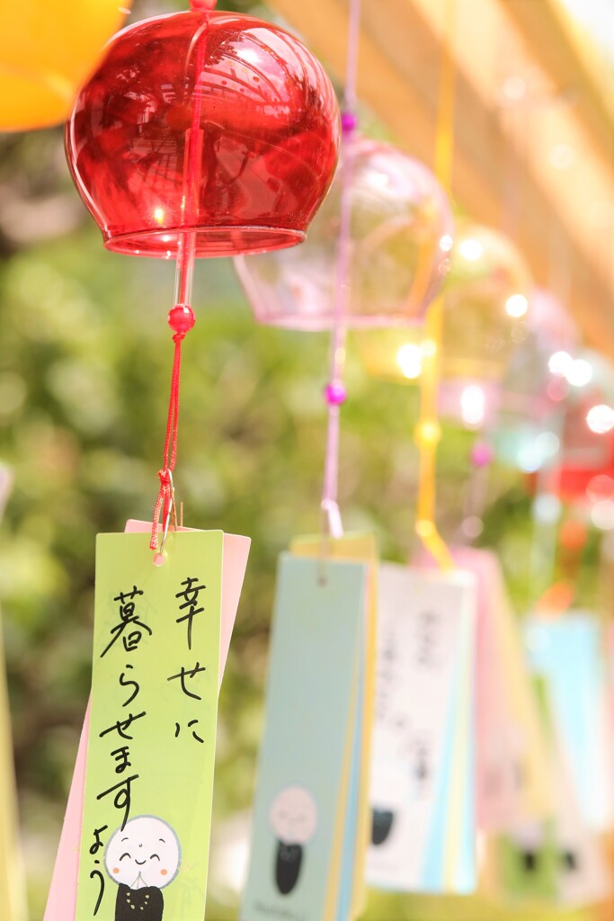 夏の風物詩