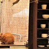 お店番