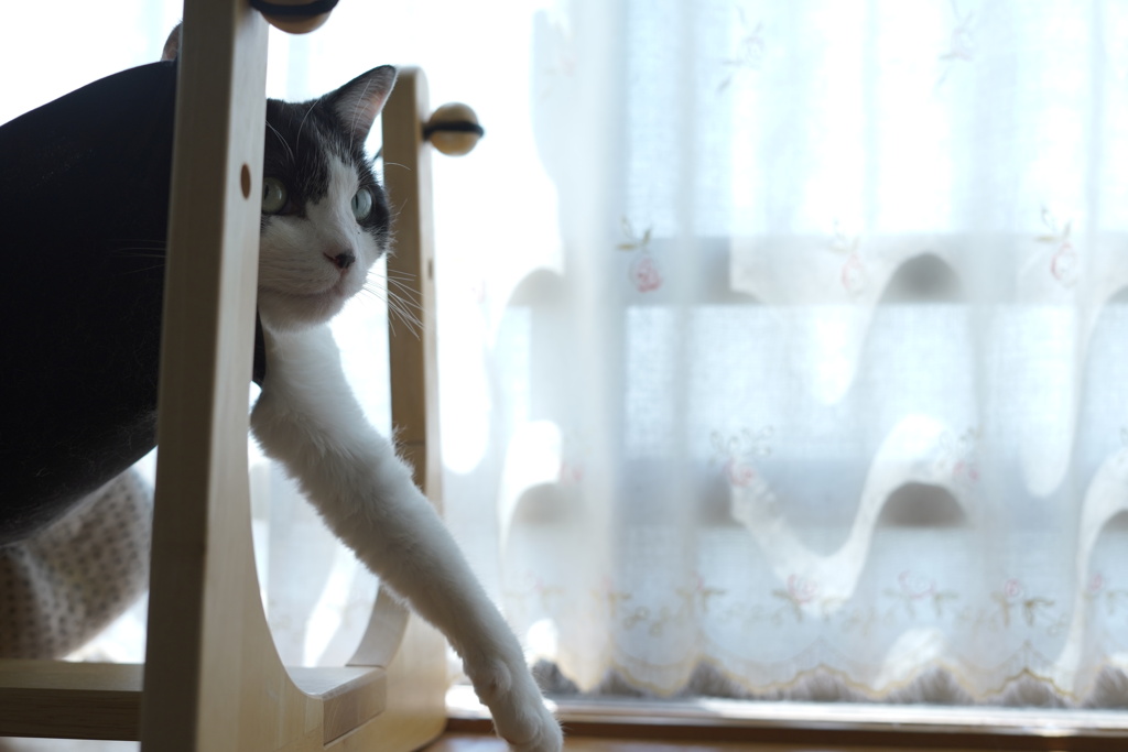 窓辺で