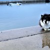 雨上がりの朝