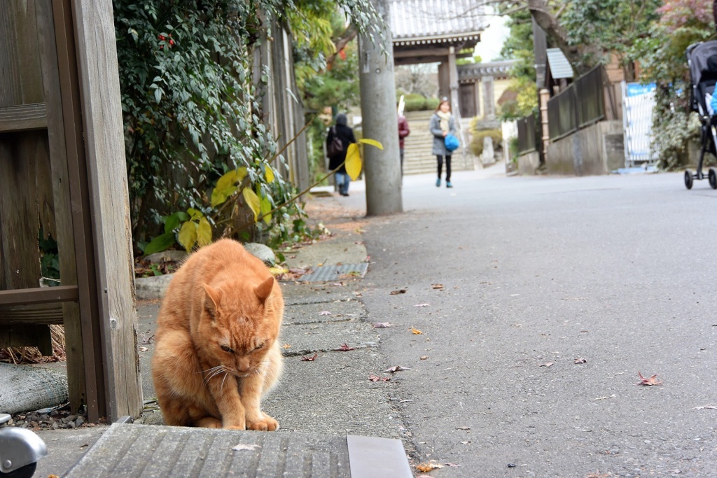 すまん！