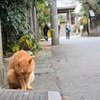 すまん！