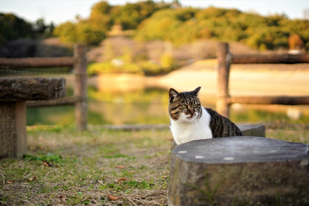 ぼっち