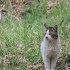 お久しぶり(=^・^=)