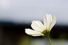 未来と過去の昼と夜に