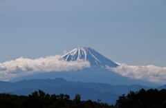 富士山近し！