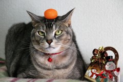 クリスマス？