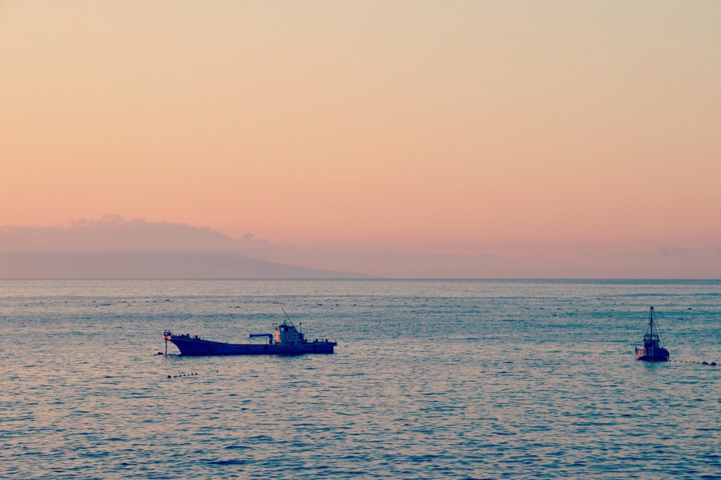 やさしいひとときのなかで