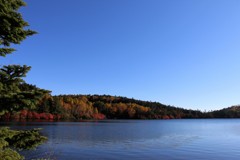 今週末は３連休♬