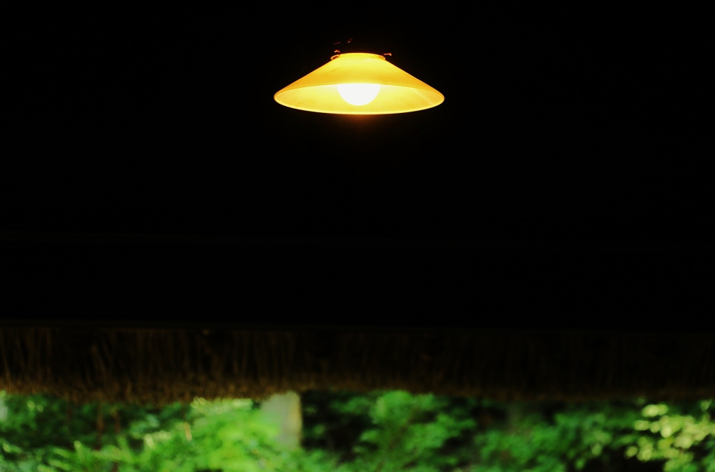 秋の夕暮れはつるべ落とし
