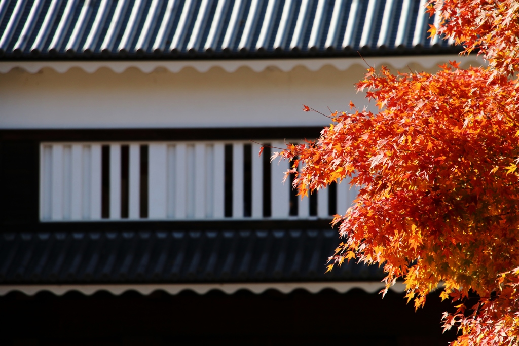 お天気最高♫