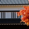 お天気最高♫