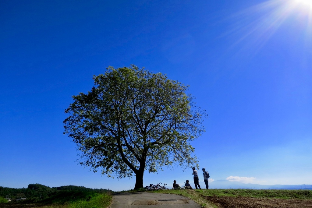 晴れのち土砂降り