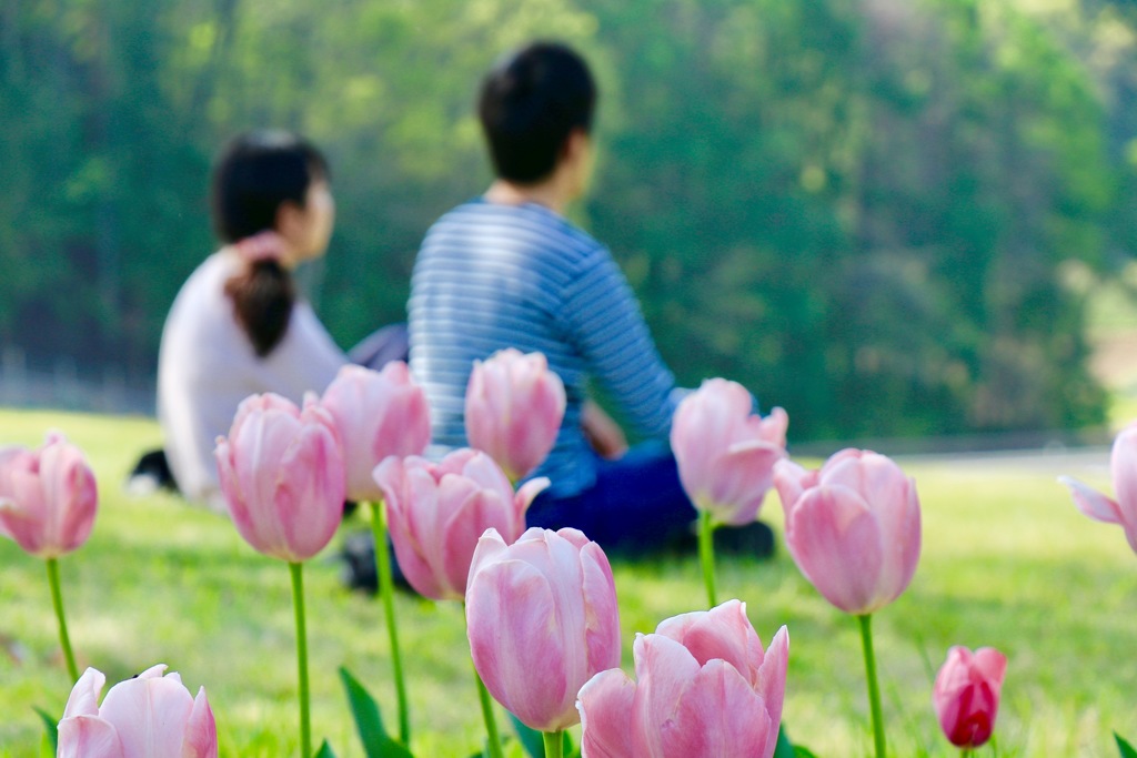 今日も良い天気