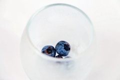 今年初めての収穫♫