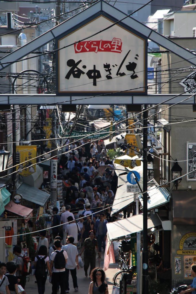2015年9月　谷中散策　リアル猫少なし(笑)
